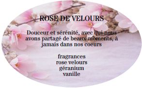 Rose de velours