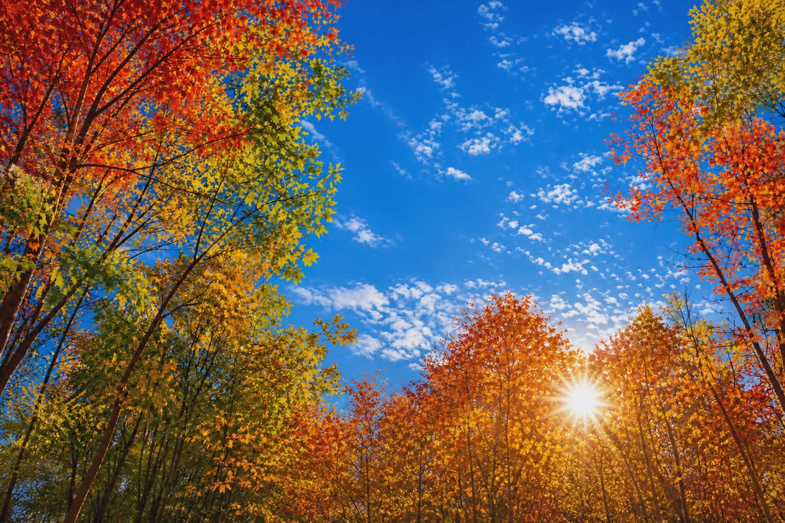 automne