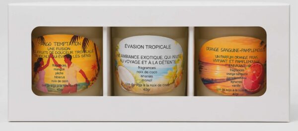 Ensemble découverte estivale